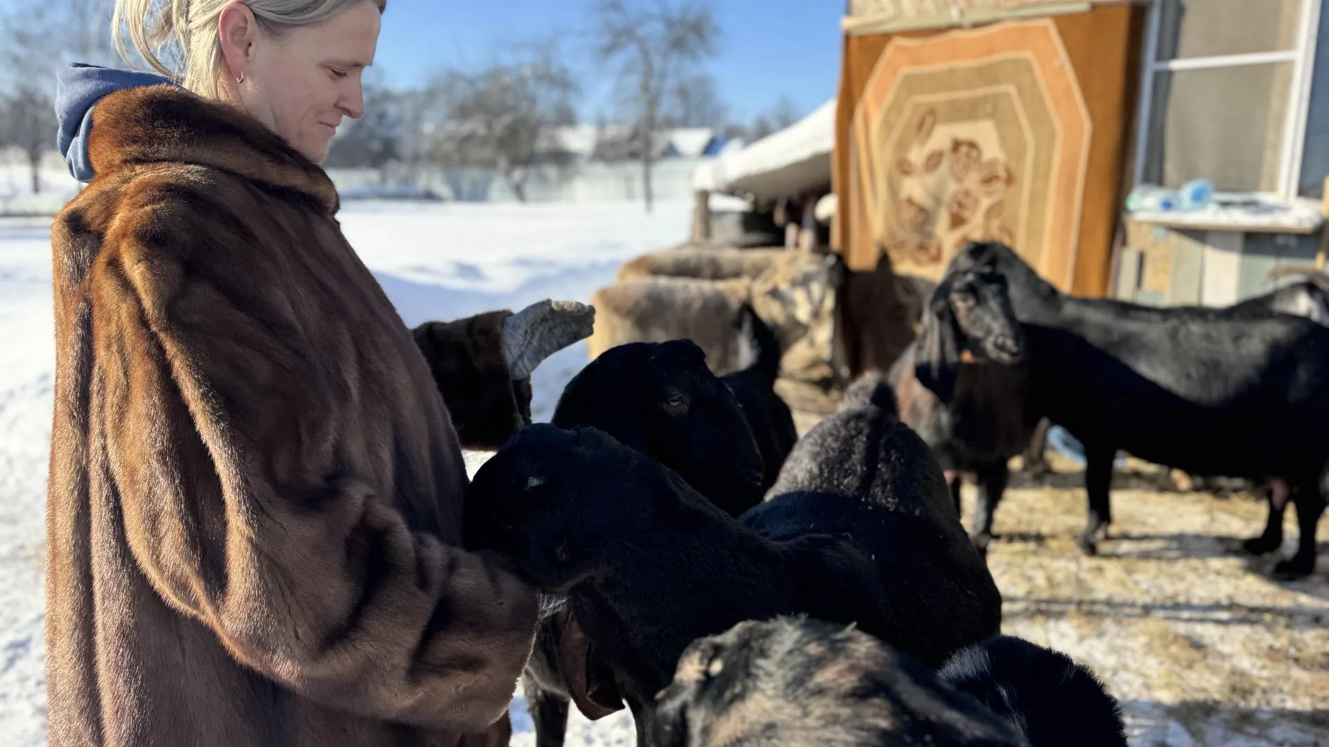 МедиаБанк Подмосковья/Татьяна Рунова