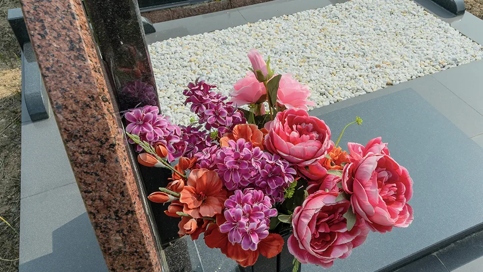 Фото: istockphoto.com/Ivan Murauyou