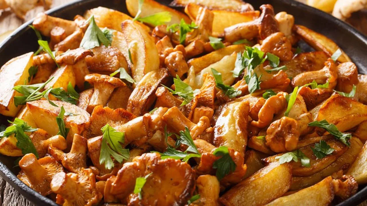 istockphoto.com/ALLEKO