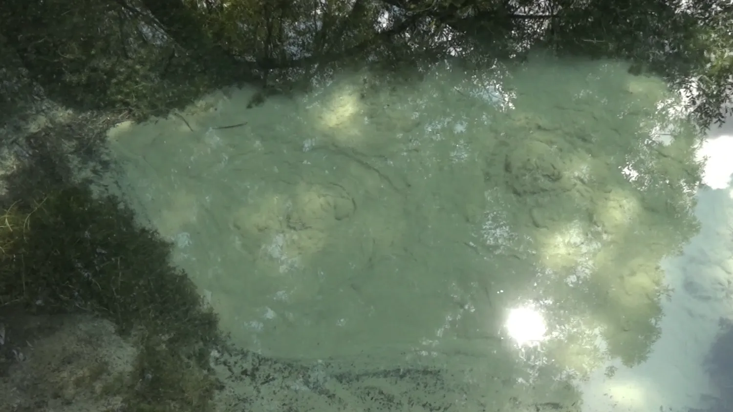 фото: Н. Надточая