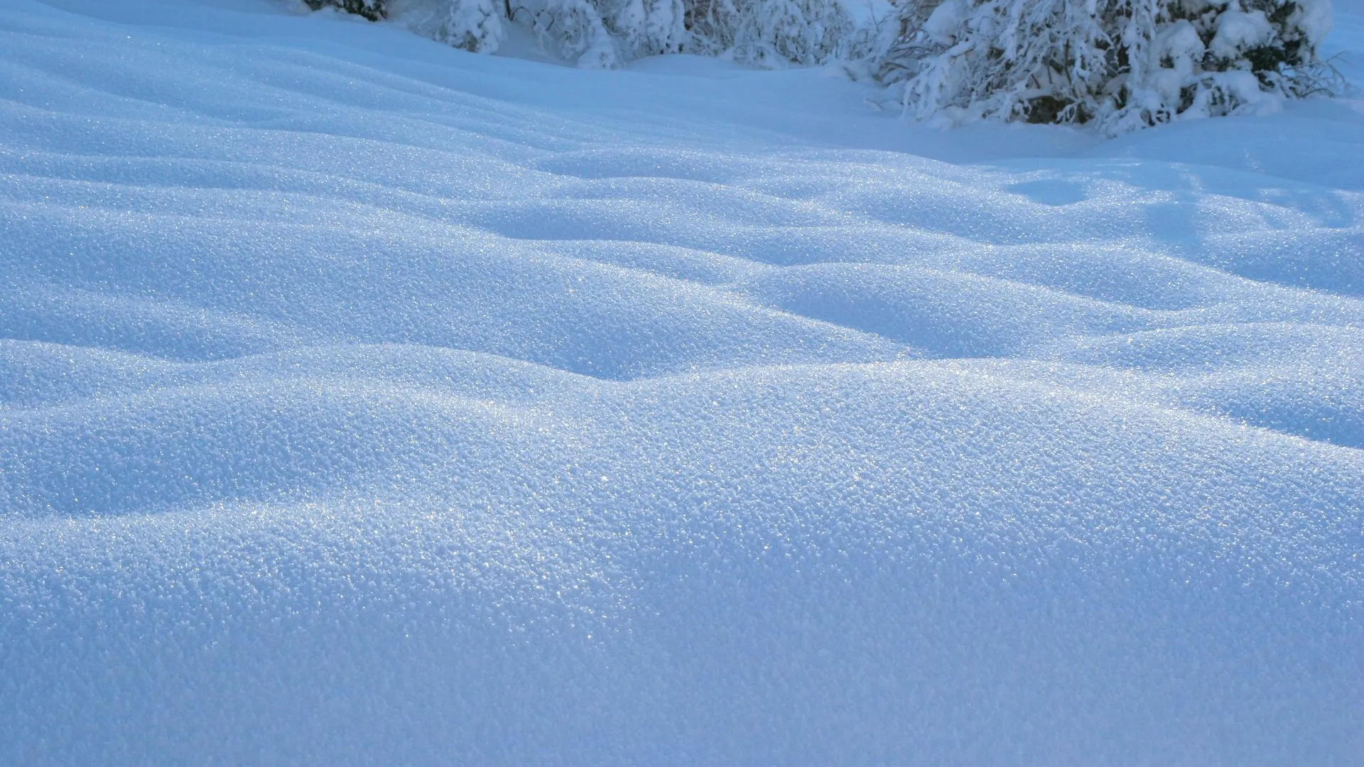 МедиаБанк Подмосковья