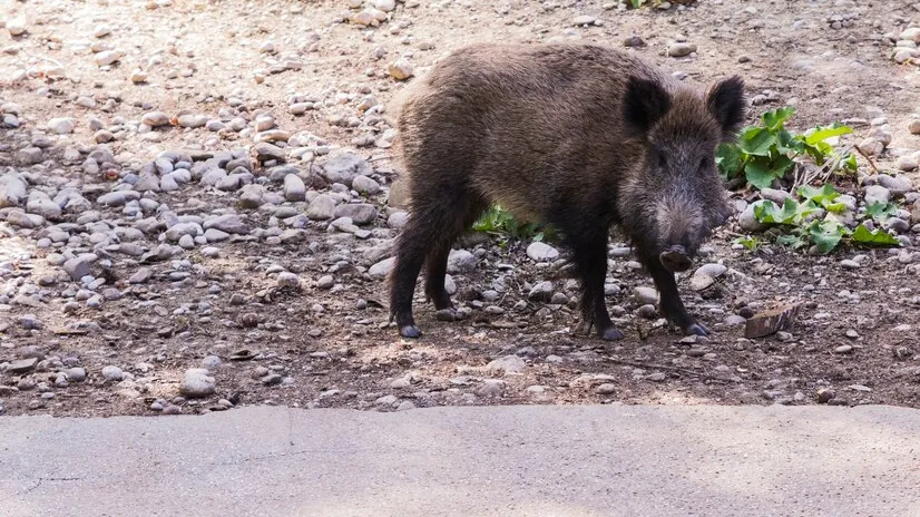 Фото: freepik.com