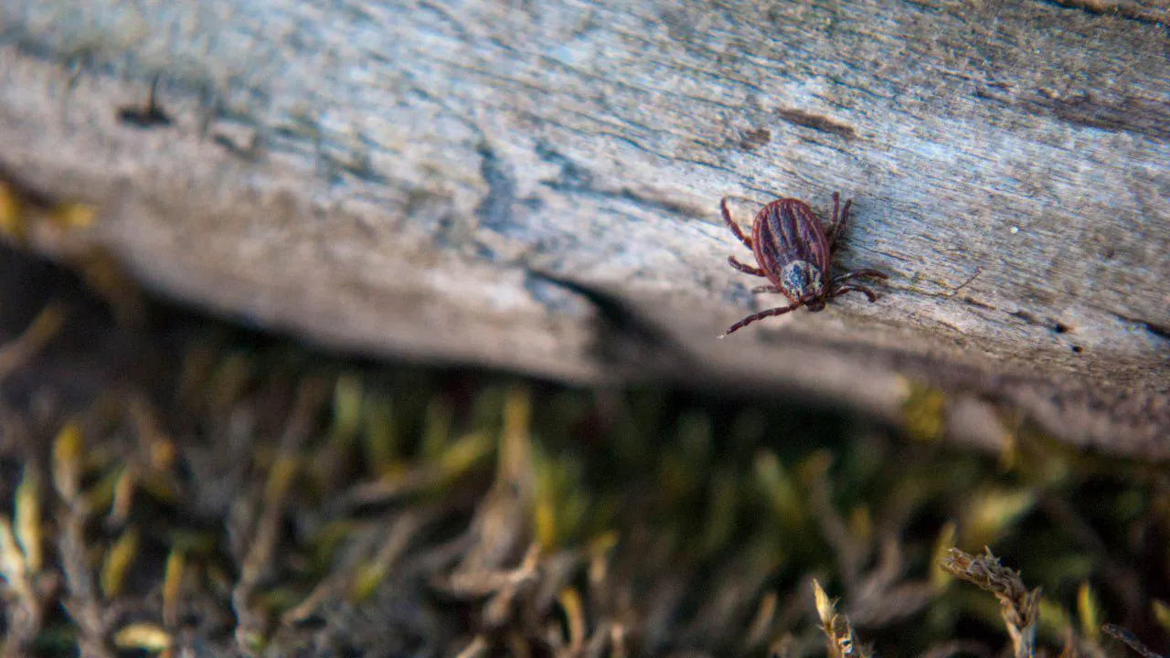 istockphoto.com/cotuvokne