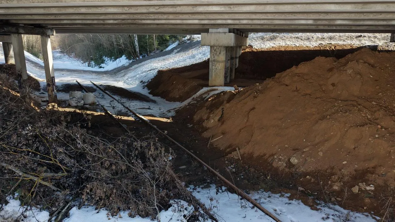 В.А. Симакова