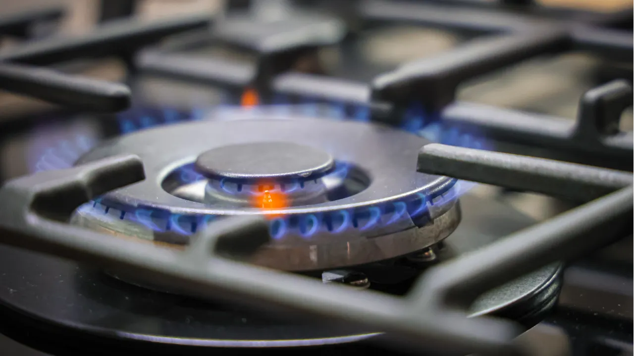 МедиаБанк Подмосковья/Данила Кирьянов