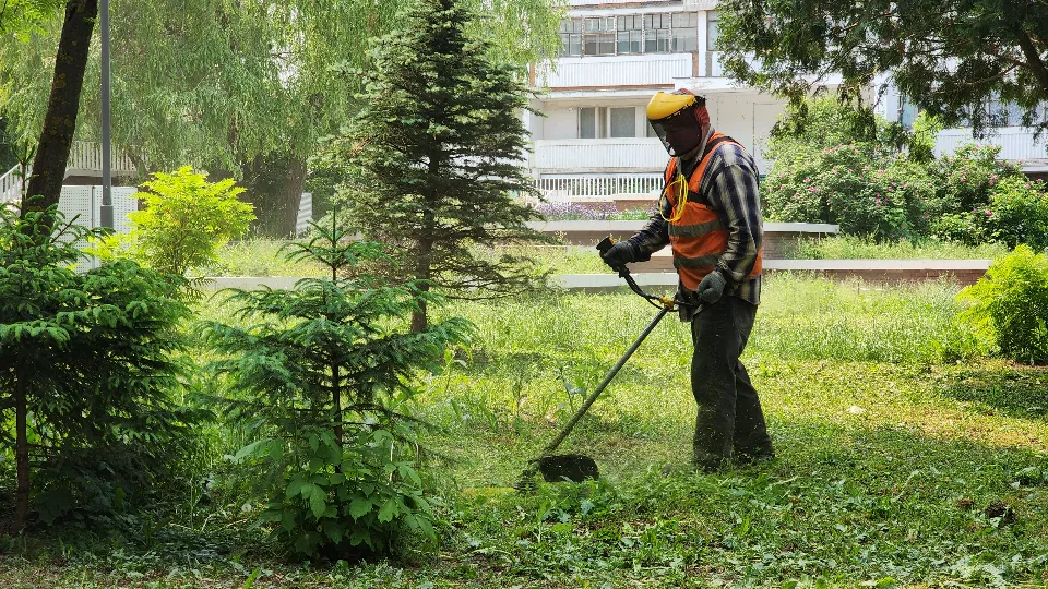Фото: Медиабанк Подмосковья/Мария Панина