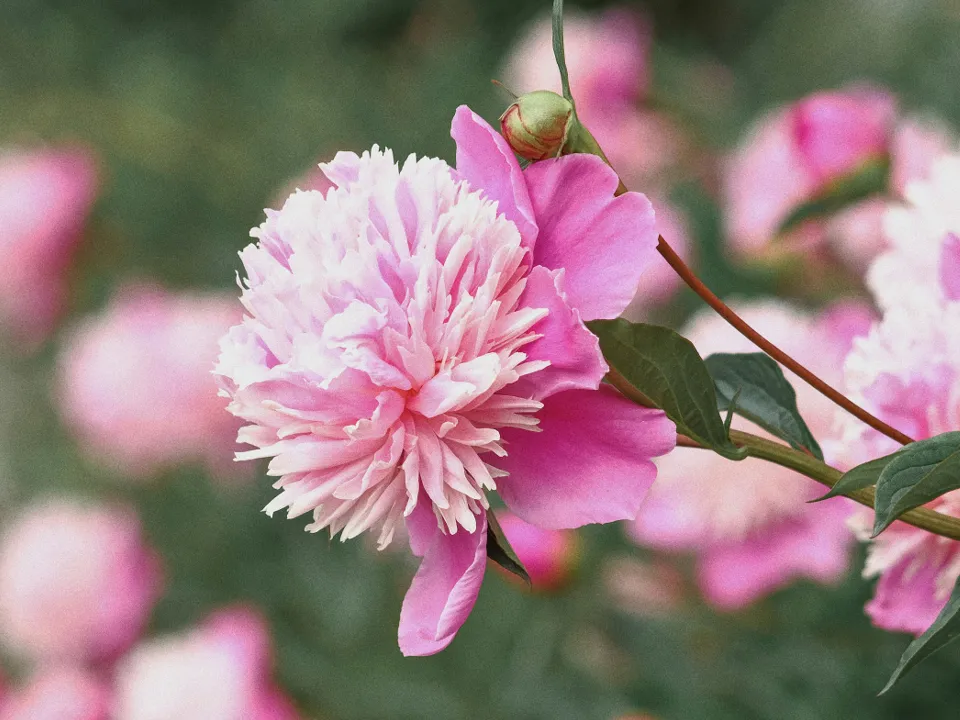 Фото: unsplash.com