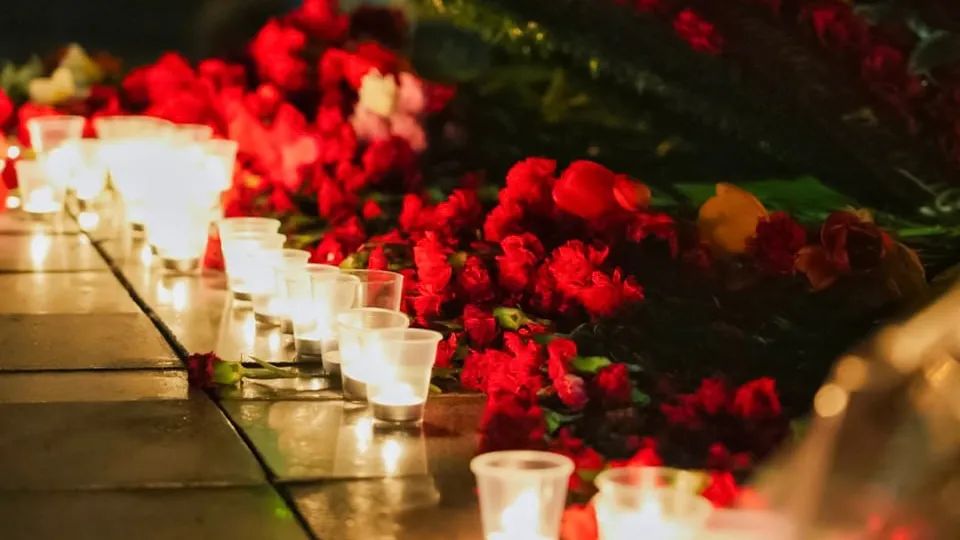 Фото: МедиаБанк Подмосковья/Дарья Леонова