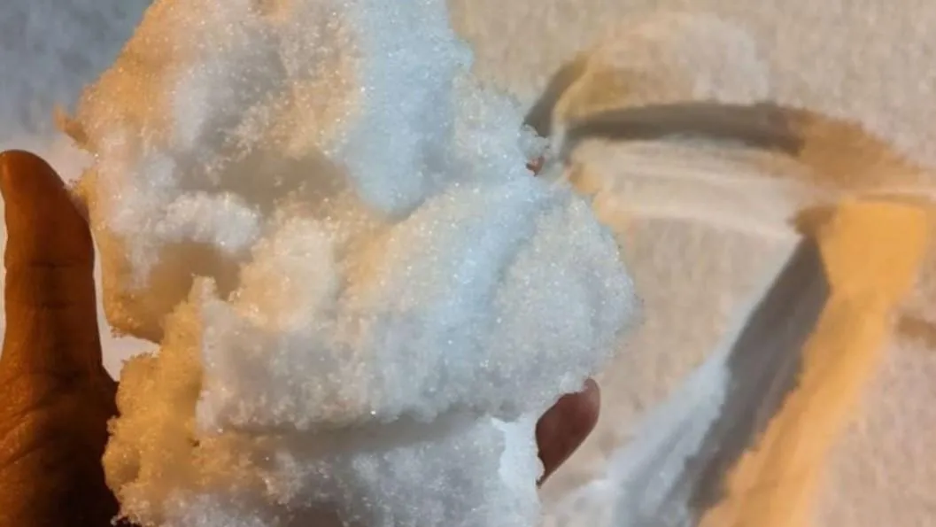 Фото: Снегири РФ / ВКонтакте