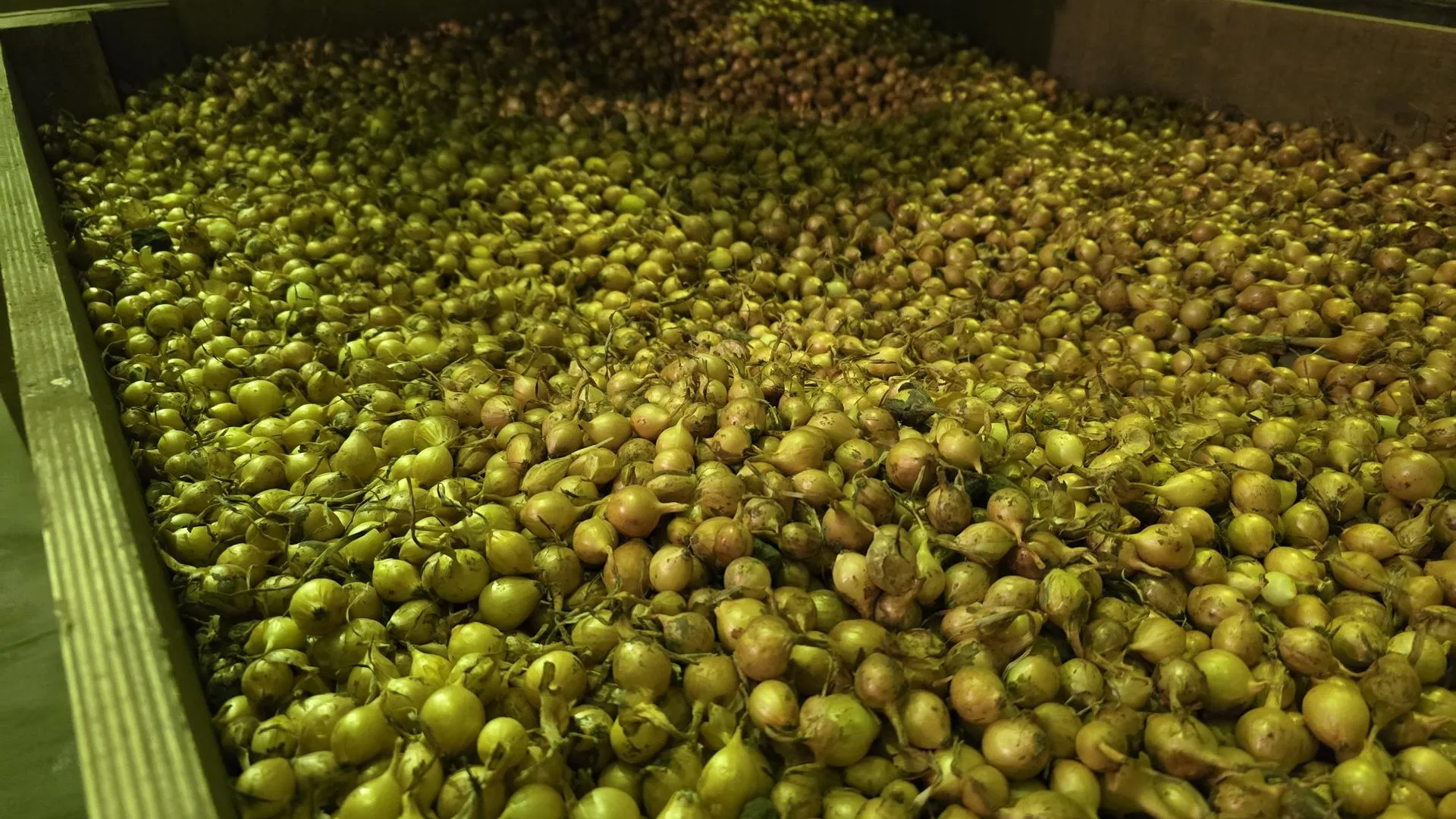 МедиаБанк Подмосковья/Марина Анисимова