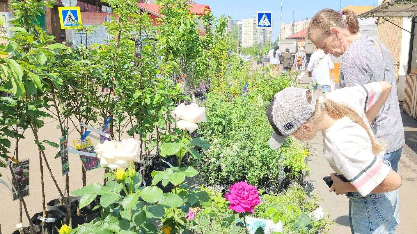 Фото: REGIONS/Артем Мишуков