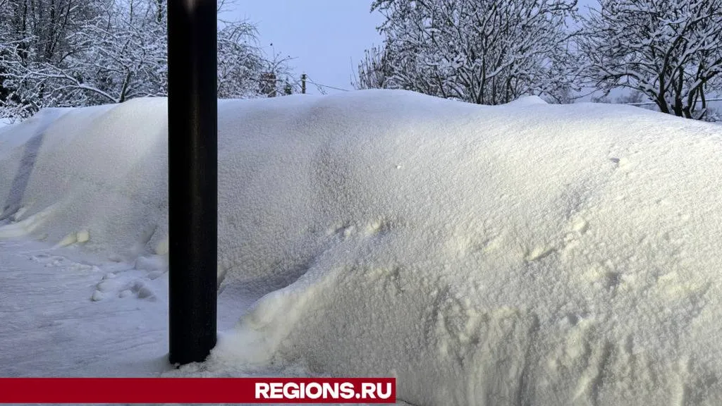 фото: А.Серова