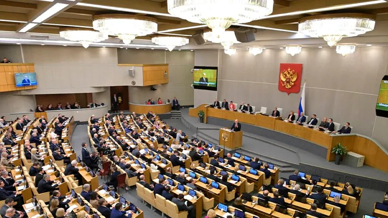 Отлавливать, стерилизовать, чипировать, усыплять: Госдума решает проблему бродячих животных
