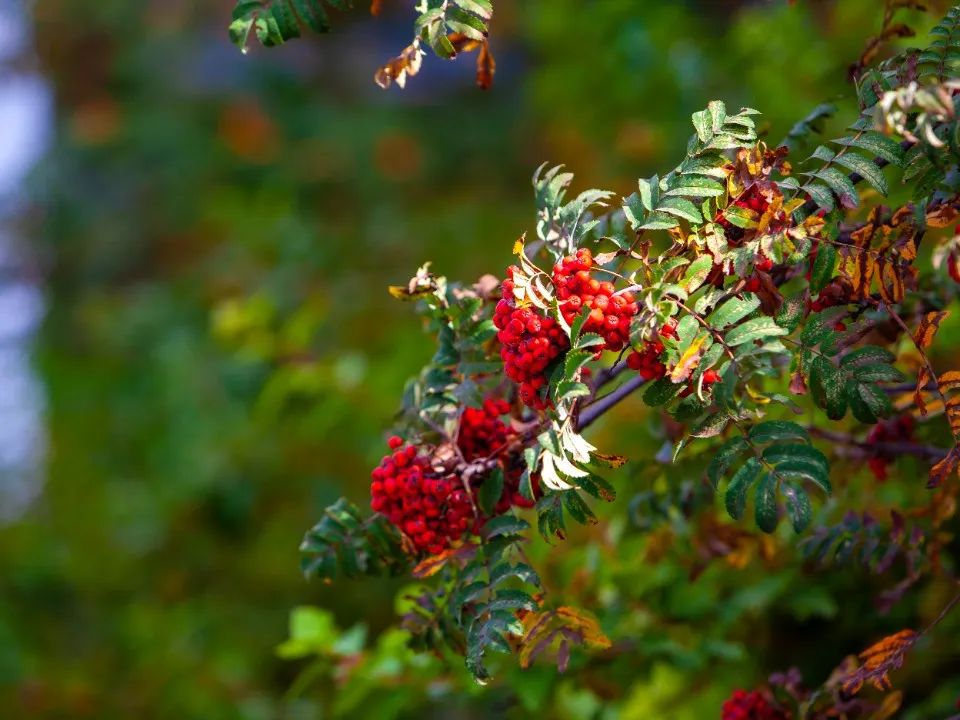 Фото: REGIONS/Роман Малышенко