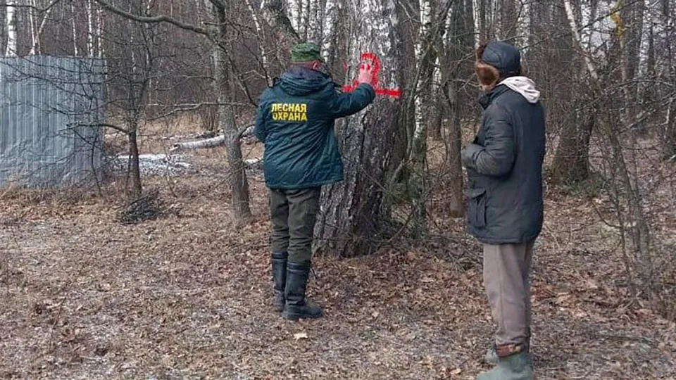 Фото: Комитет лесного хозяйства МО