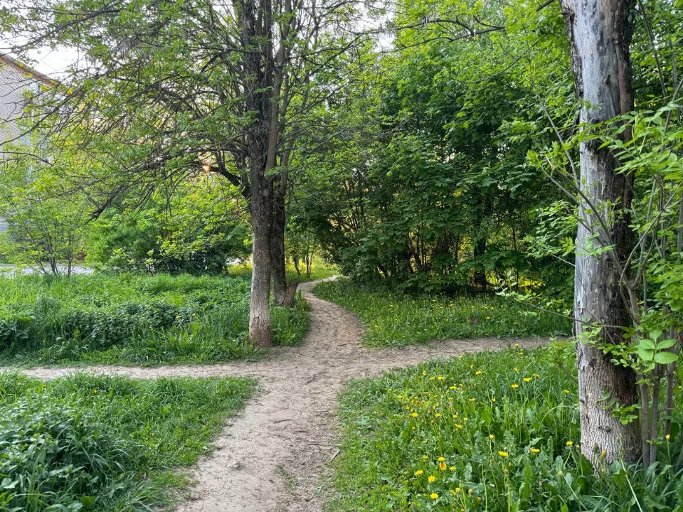 Фото: пресс-служба администрации Можайского городского округа