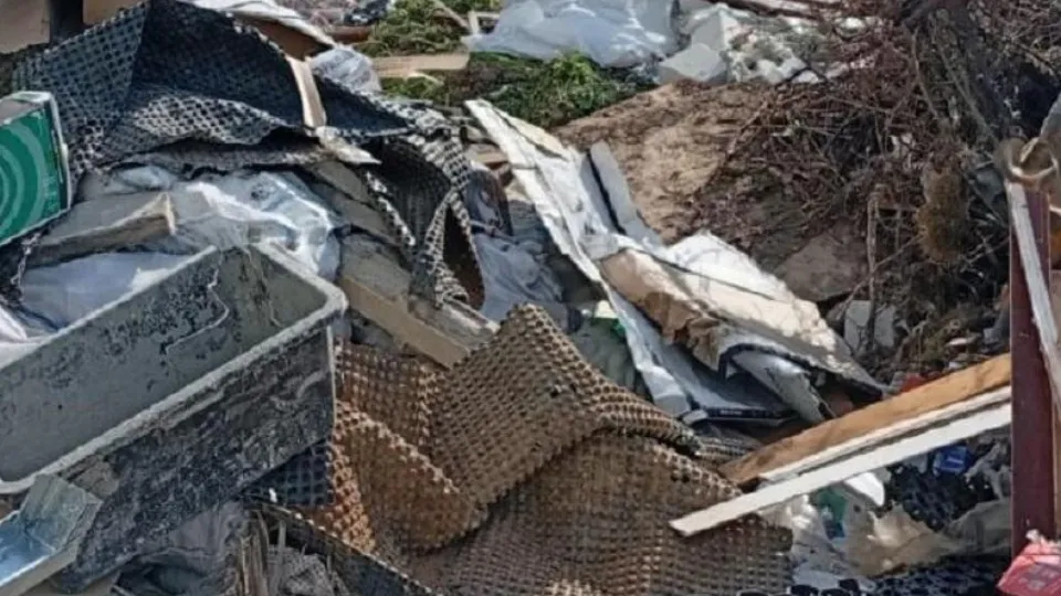 Фото: Минэкологии МО