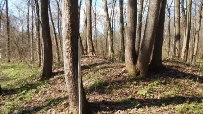 © Главное Управление культурного наследия Московской области