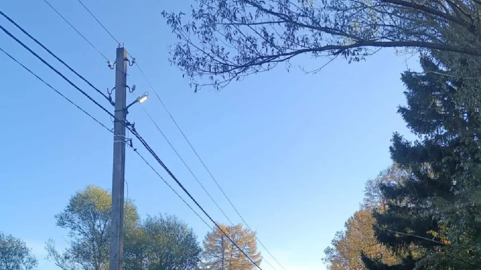 Фото: администрация м.о. Лотошино