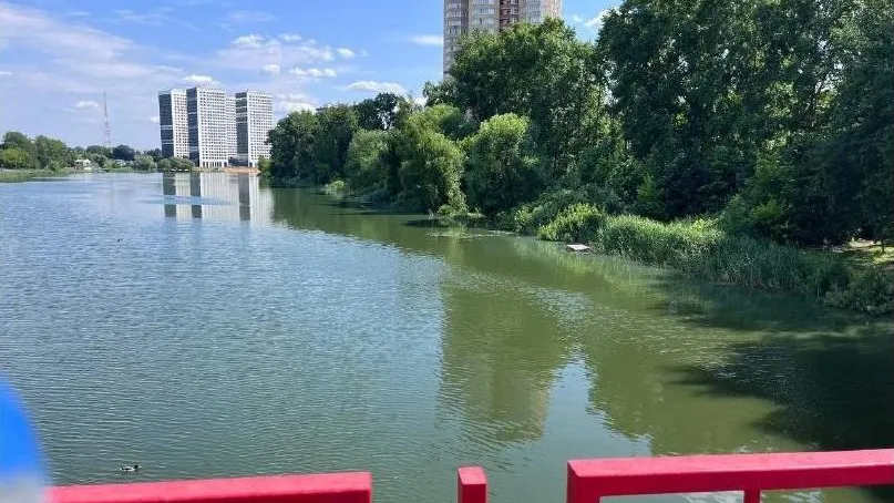 Фото Минэкологии МО.