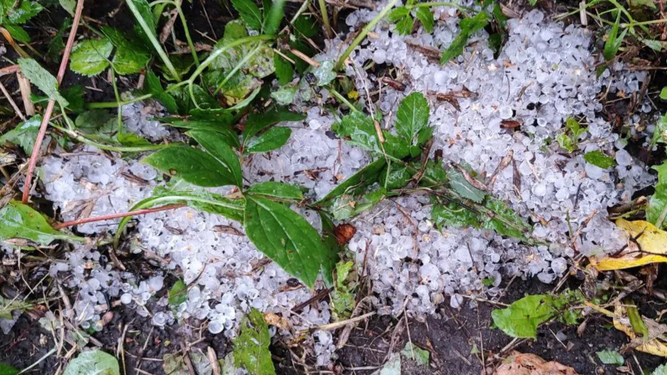 Фото: REGIONS/Марина Коркина