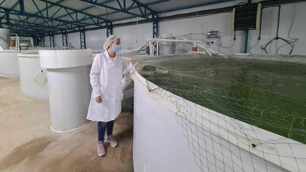 Фото: Терветуправление № 2