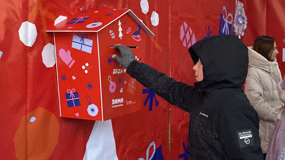 Фото: МедиаБанк Подмосковья/Екатерина Морозова