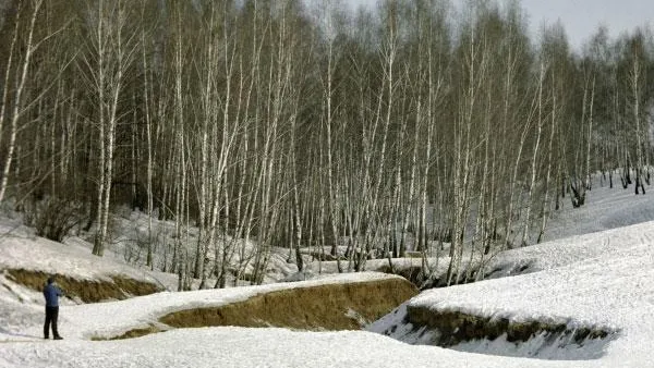 Синоптики обнадежили новостью о первых ощущениях весны в европейских регионах РФ