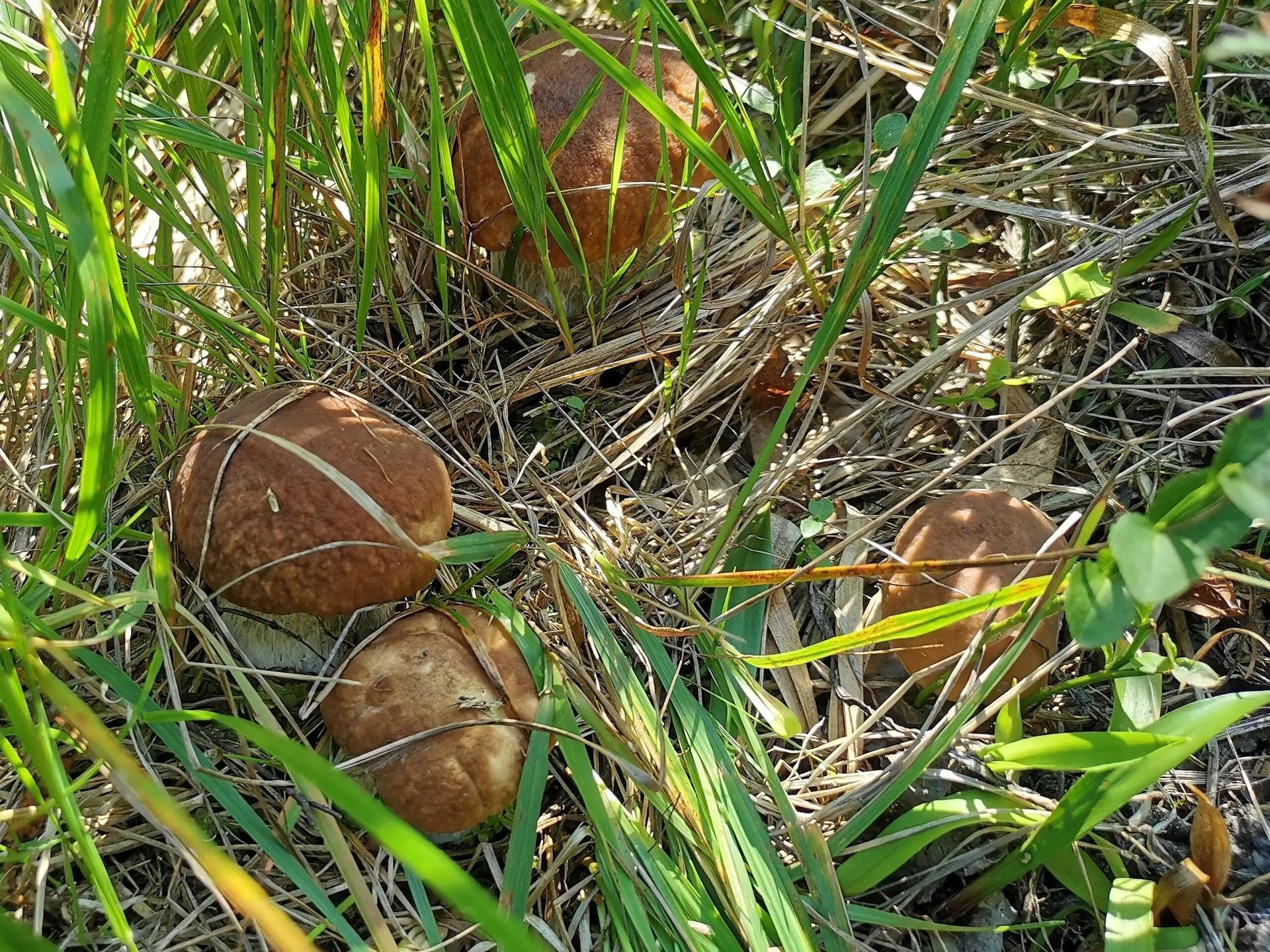Талдом | Наш дом/ВКонтакте
