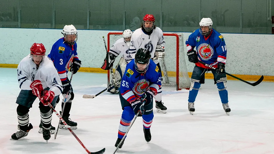 Фото: Зарайский ледовый спортивный комплекс