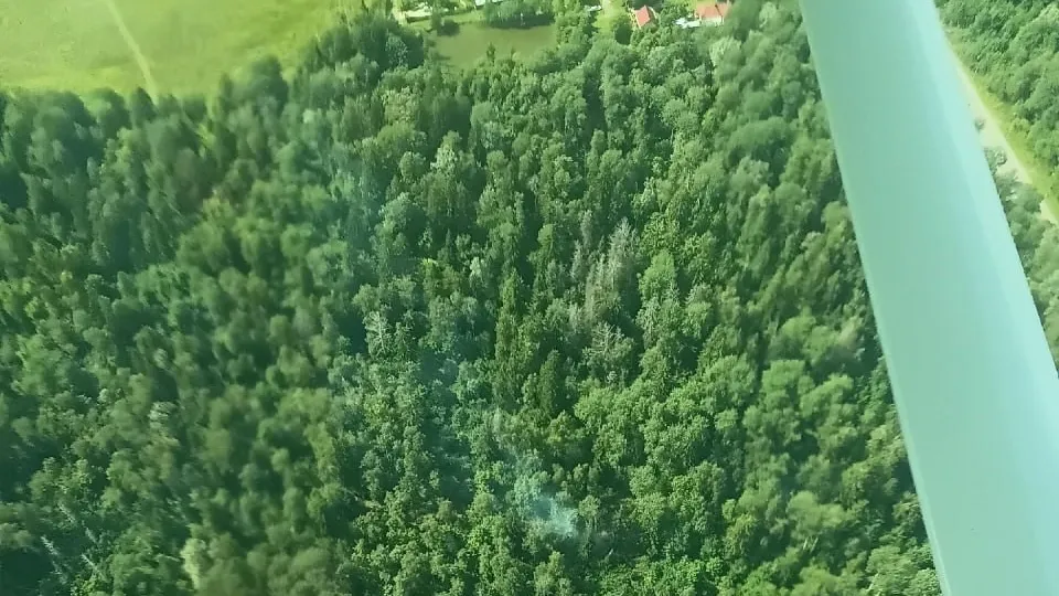 Фото: Комитет лесного хозяйства Московской области