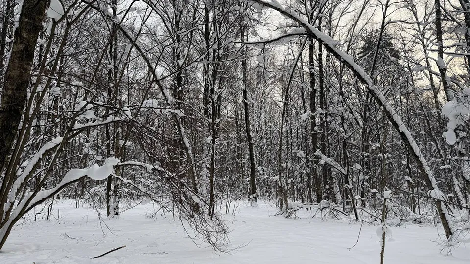 Фото: REGIONS/Дарья Назарова