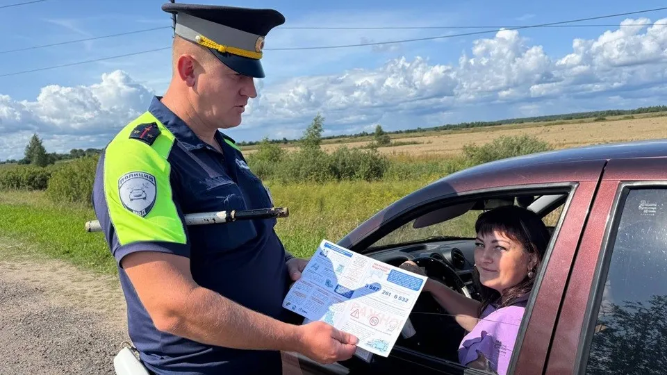 Фото: Отдел Госавтоинспекции ОМВД России «Лотошинский»