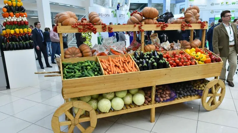 Два хранилища для картофеля и три для других овощей построят в МО 2016 году