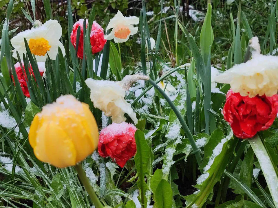 Фото: t.me/newsregions