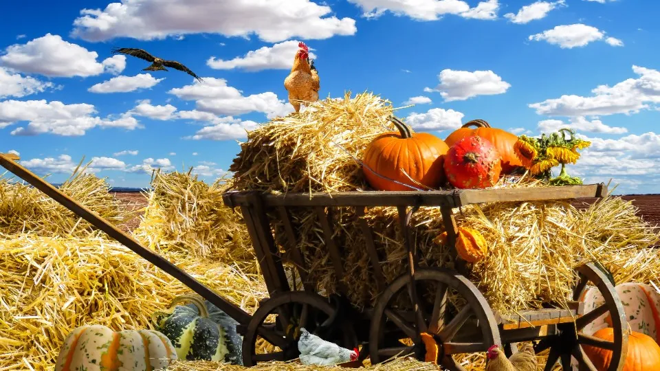 Фото: pxhere.com