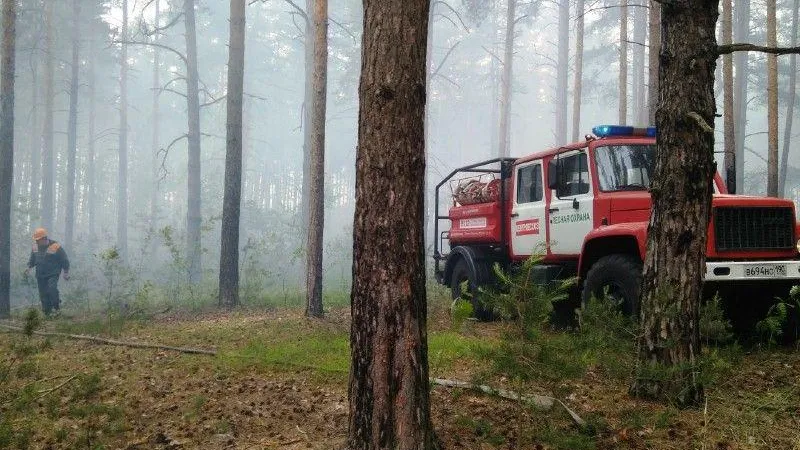 Две лесопожарные автоцистерны закупили в Подмосковье в рамках нацпроекта