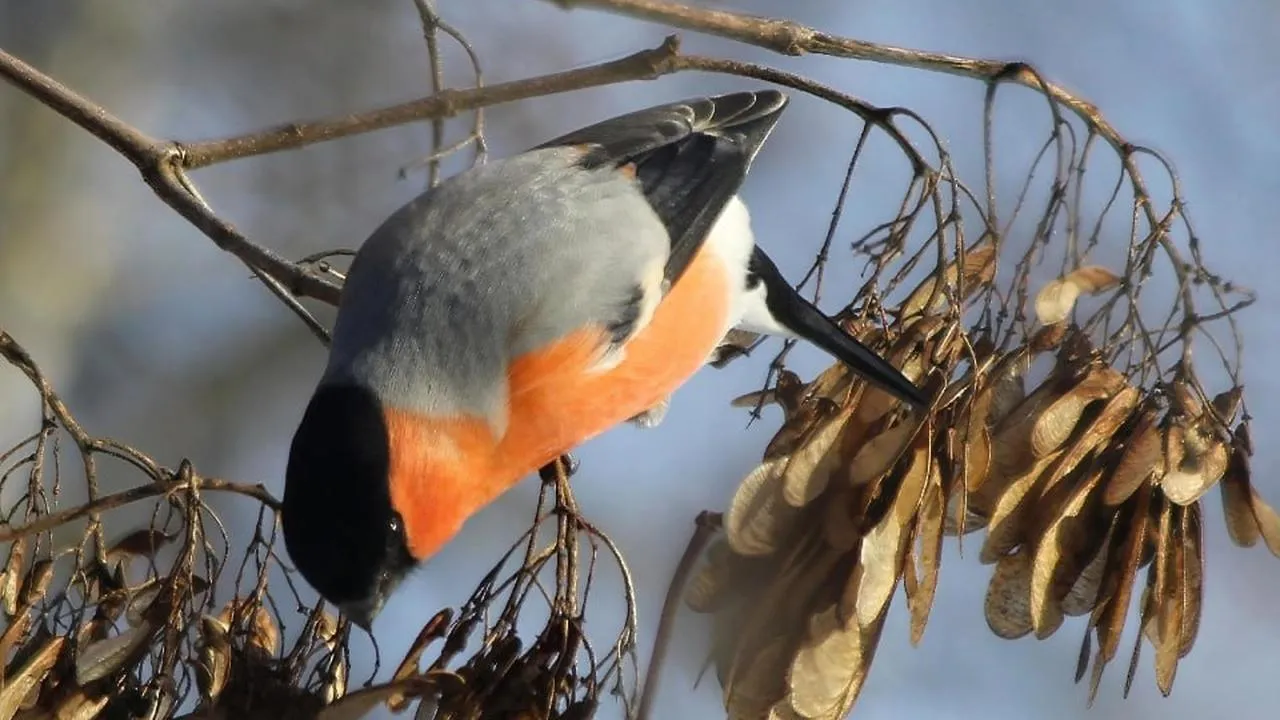 личный архив Константина Кошелева