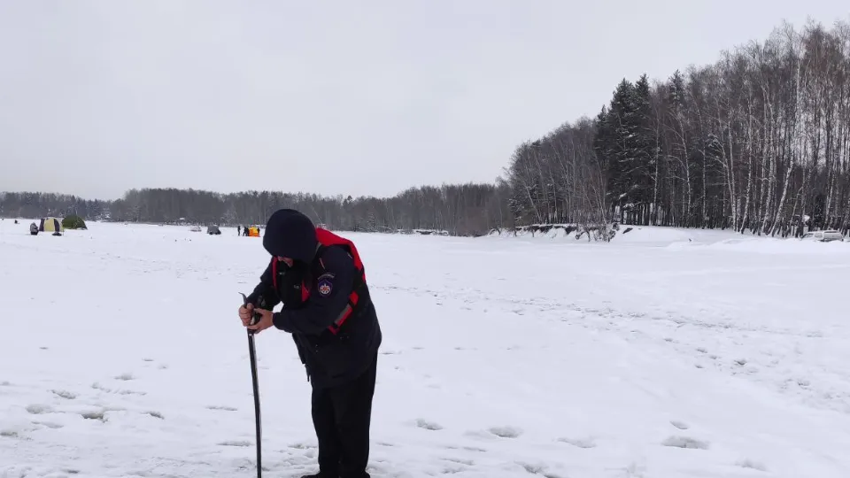 Фото: t.me/mosoblpspas