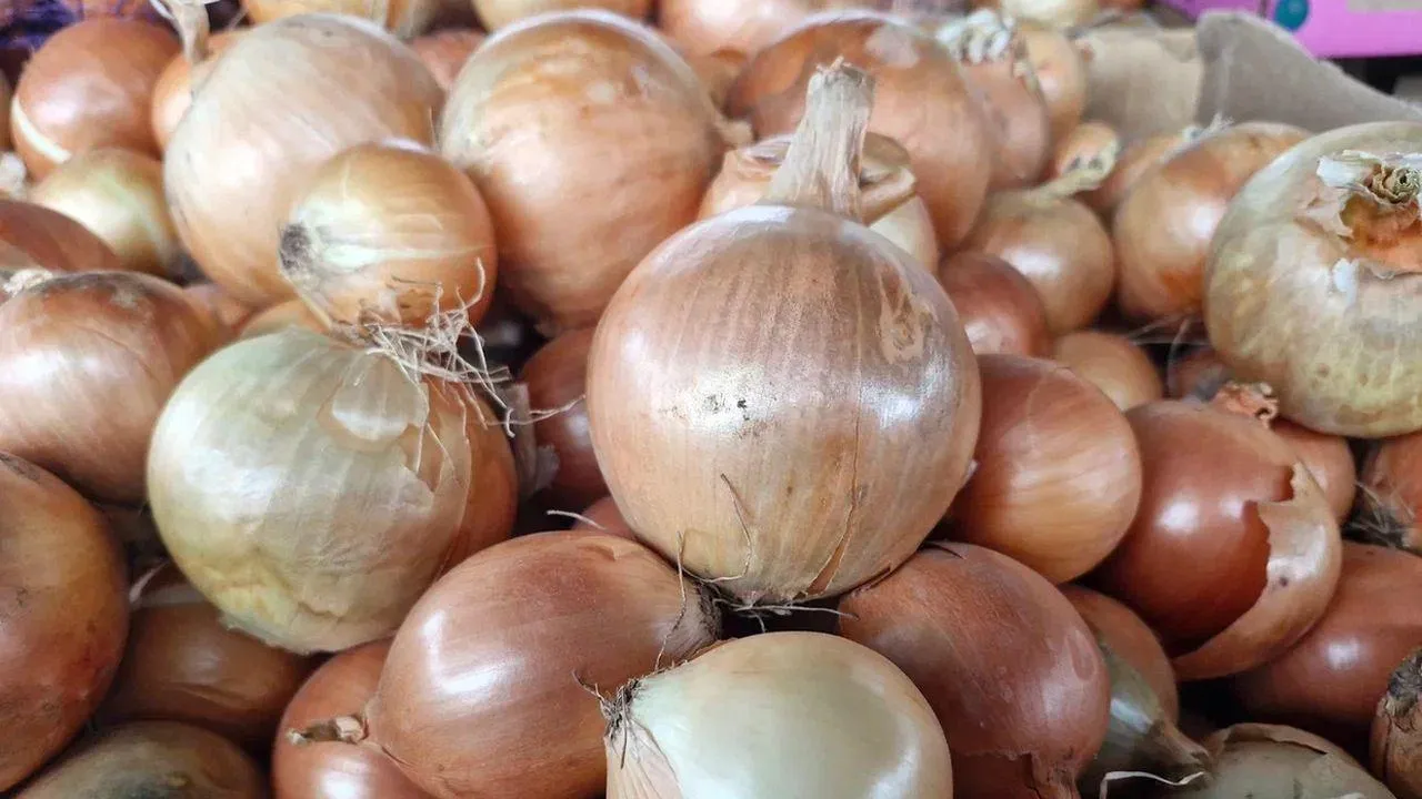 REGIONS/Наталья Надточая