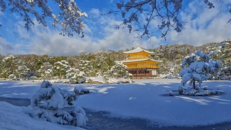 В Японии 60 человек погибли при уборке снега