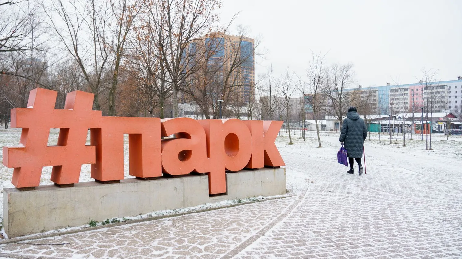 Фото: © Медиасток Подмосковья