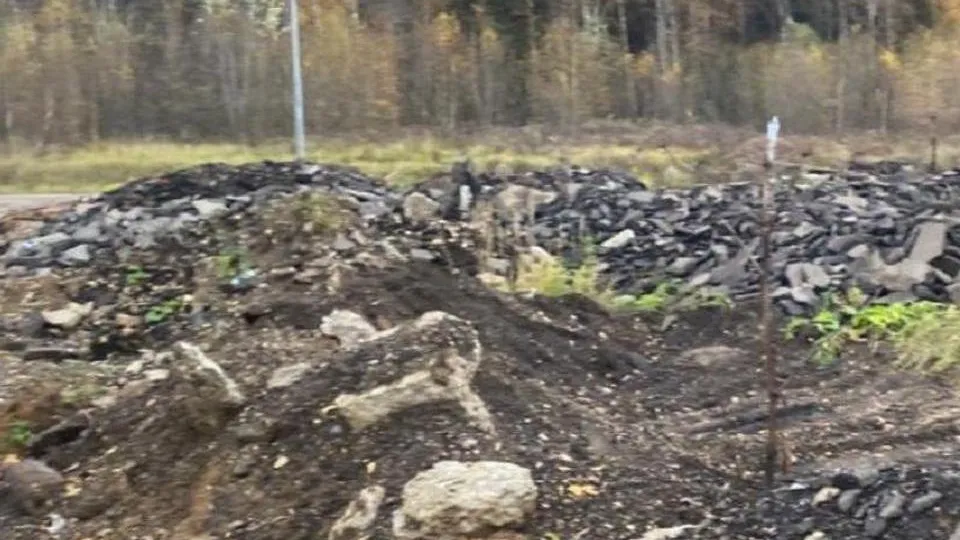 Фото: Министерство экологии и природопользования Московской области