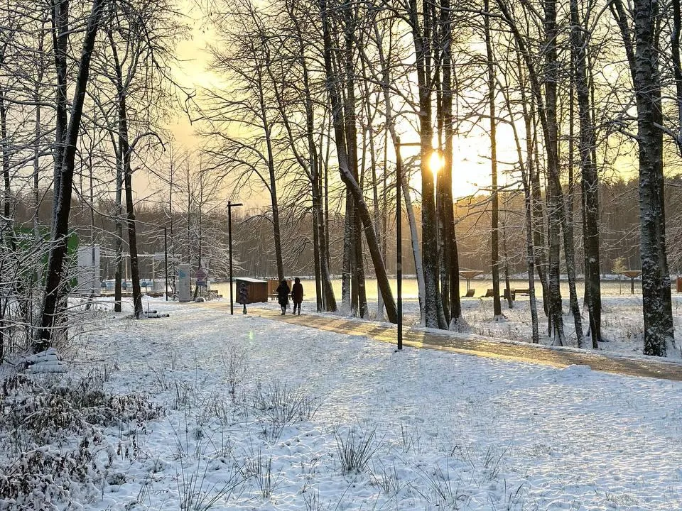 Фото: Министерство благоустройства Московской области