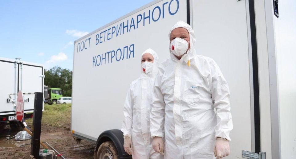 Ветеринары из Подмосковья приняли участие в международных учениях