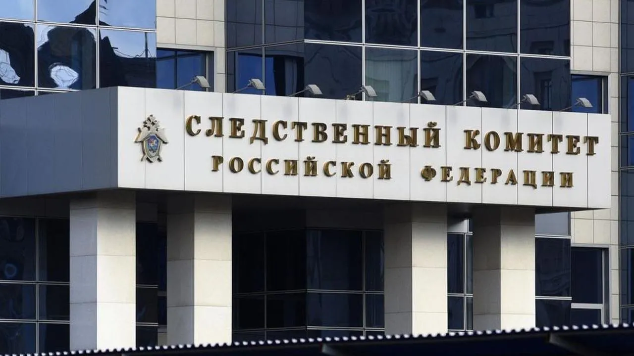 Бастрыкин взял под контроль расследование нападения на женщину у школы в Казани