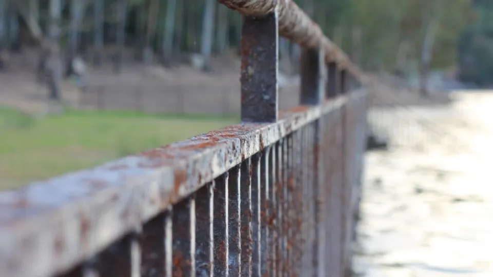 Фото: pxhere.com