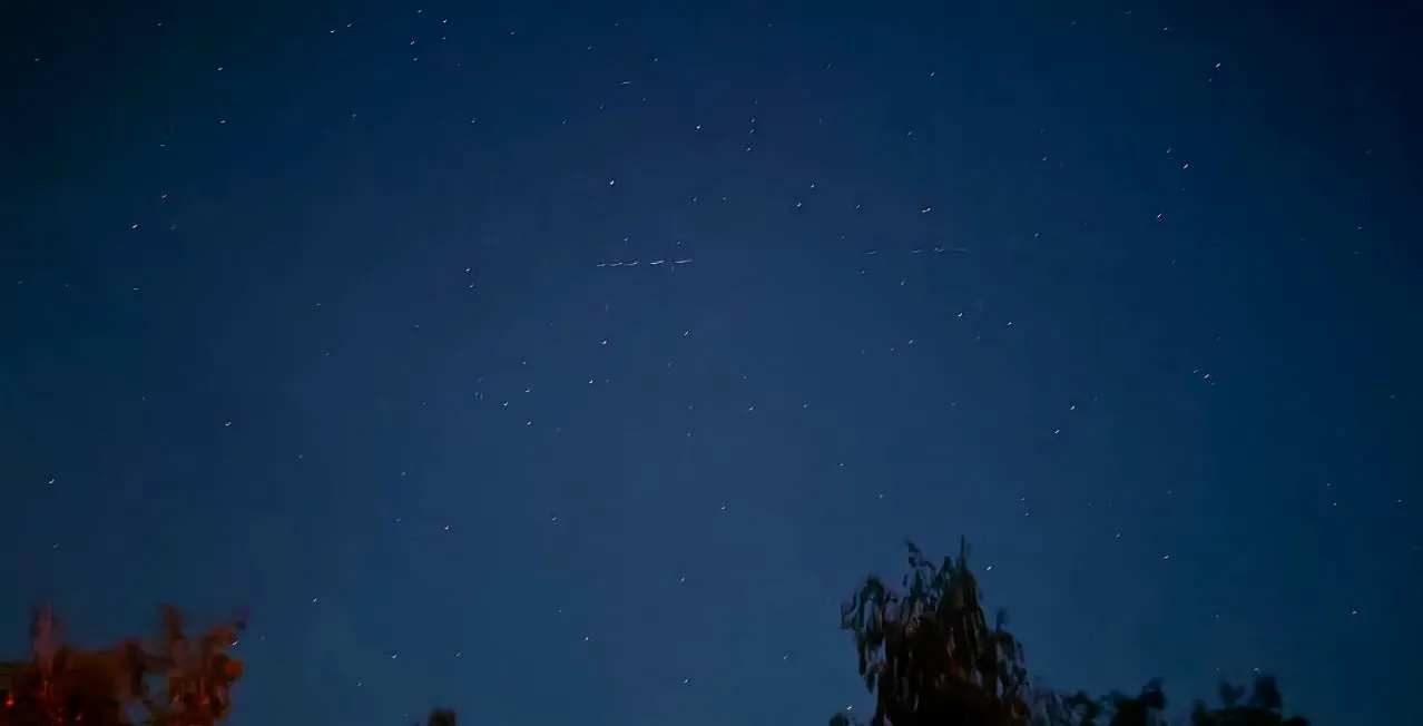 Фото: Даниил Щербинский<br>