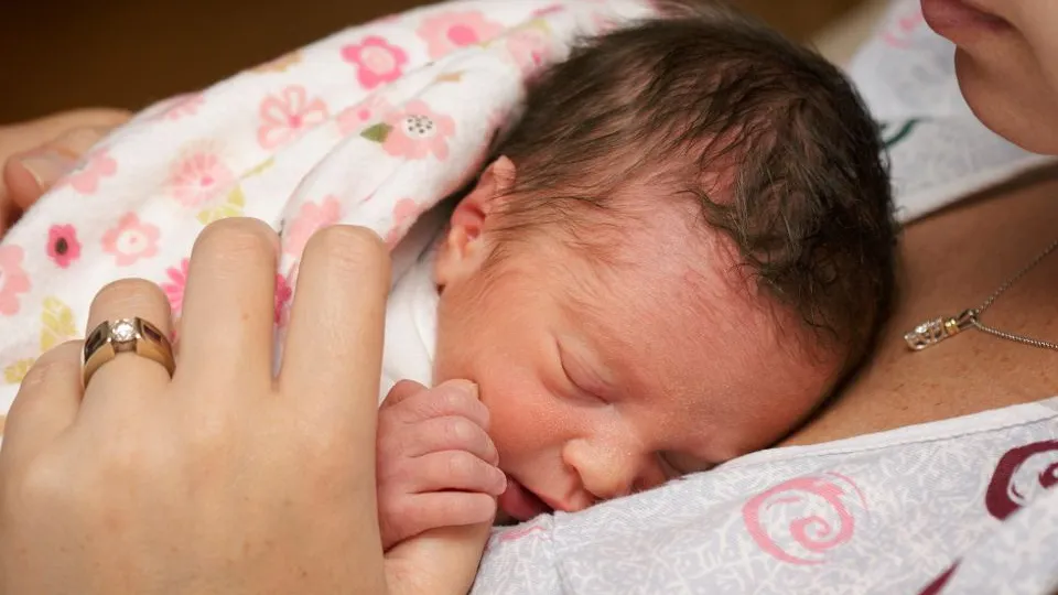 Фото: istockphoto.com/CaseyHillPhoto