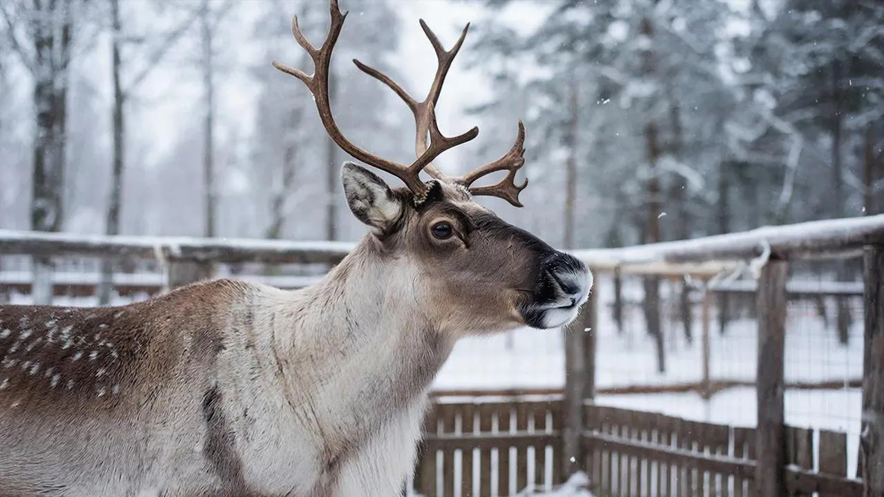 REGIONS/Сгенерировано нейросетью